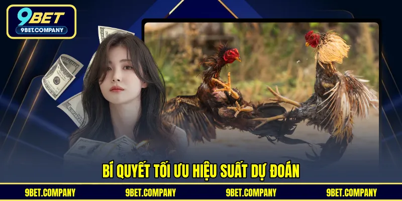 Bí quyết tối ưu hiệu suất dự đoán