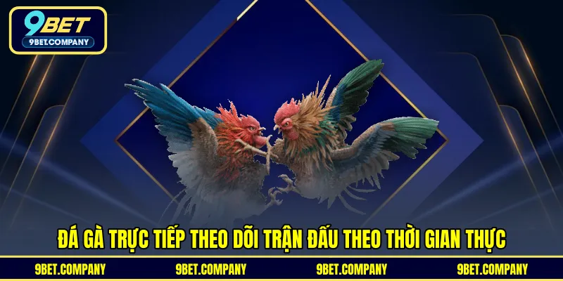 Đá gà trực tiếp theo dõi trận đấu theo thời gian thực