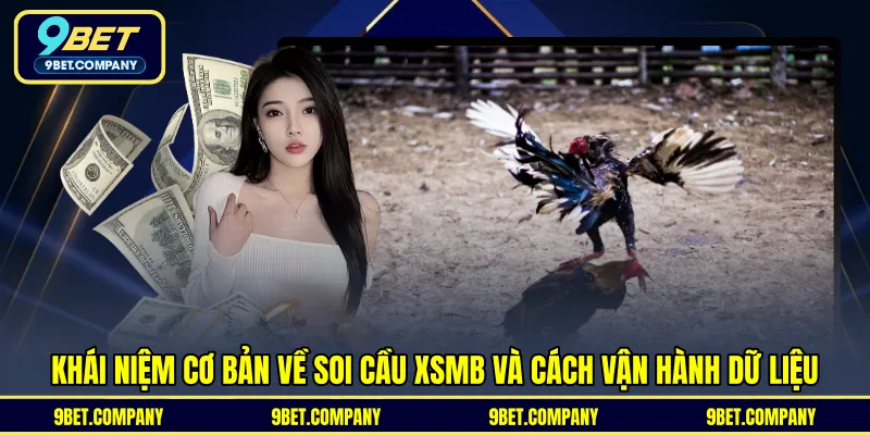 Khái niệm cơ bản về soi cầu XSMB và cách vận hành dữ liệu