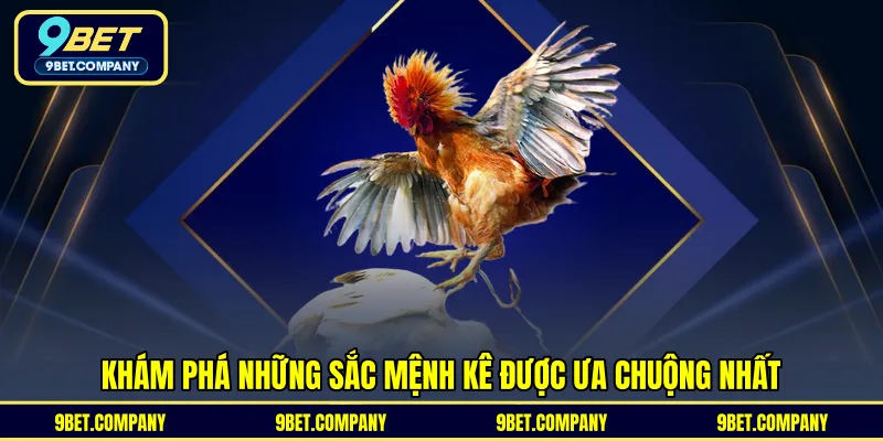 Khám phá những sắc mệnh kê được ưa chuộng nhất 