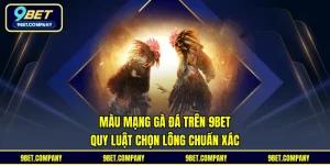 Màu Mạng Gà Đá Trên 9BET - Quy Luật Chọn Lông Chuẩn Xác