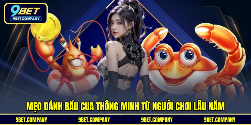 Mẹo đánh bầu cua thông minh từ người chơi lâu năm 