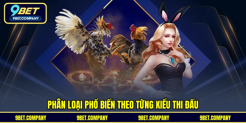 Phân loại phổ biến theo từng kiểu thi đấu